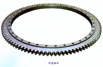 轉(zhuǎn)盤(pán)軸承