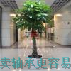 浦東室內(nèi)綠植 浦東室內(nèi)綠植生產(chǎn)商 達(dá)優(yōu)供